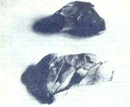 Рудольф Баландин - Кто вы, рудокопы Росси?