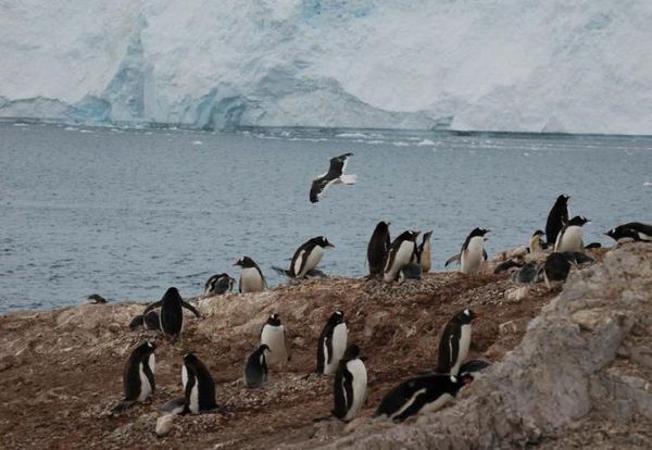 Владимир Ромашкин - Загадки исчезнувших цивилизаций. Часть I. Загадочная Антарктида