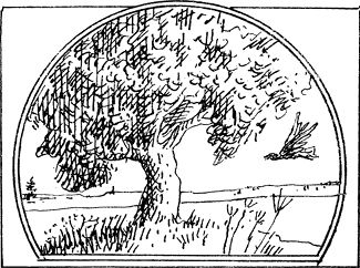 Андрей Лапо - Следы былых биосфер, или Рассказ о том, как устроена биосфера и...