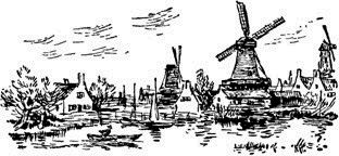 Чёрный тюльпан