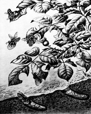 Жан-Анри Фабр - Жизнь насекомых. Рассказы энтомолога