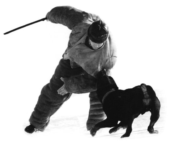 Николай Веракса, Александр Веракса - Проектная деятельность дошкольников....