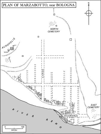 Эллен Макнамара - Этруски. Быт, религия, культура