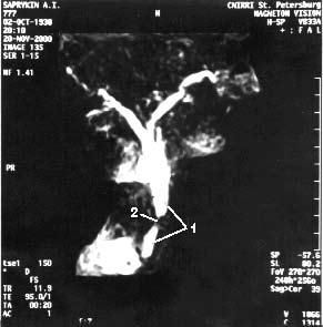 Коллектив авторов - Избранные лекции по факультетской хирургии: учебное пособие