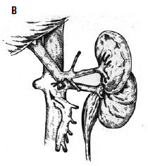 Коллектив авторов - Избранные лекции по факультетской хирургии: учебное пособие