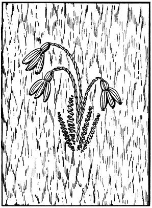 Елена Шилкова - Вышивка по бумаге