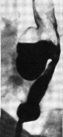 Коллектив авторов - Избранные лекции по факультетской хирургии: учебное пособие