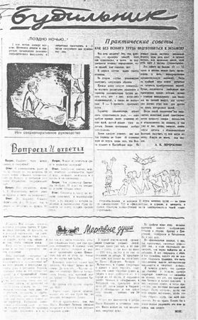 Иван Кузнецов, Ольга Минаева - Газетный мир Московского университета