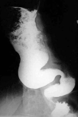 Коллектив авторов - Избранные лекции по факультетской хирургии: учебное пособие