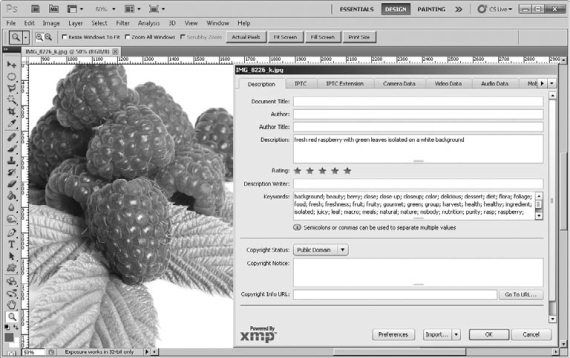 Ольга Зьомко, Дмитрий Сухаревский - Как заработать на фотографии в Интернете