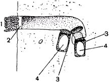 Жан-Анри Фабр - Жизнь насекомых. Рассказы энтомолога