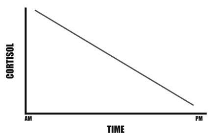 Робб Вулф - Палеодиета - живое питание для здоровья