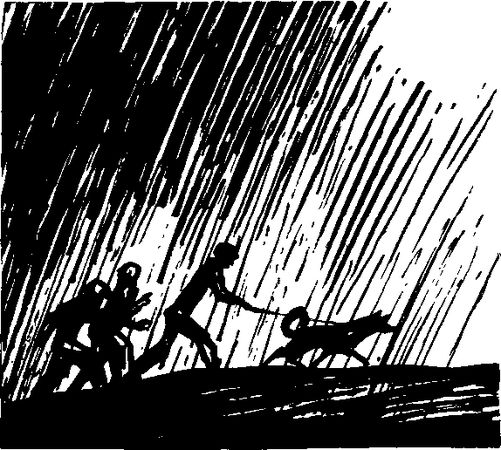 Сергей Давыдов - Путаный след