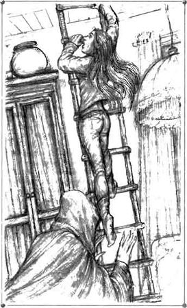 Кирилл Алексеев - Пожиратель мух