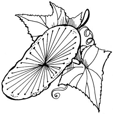 Елена Шилкова - Вышивка по бумаге