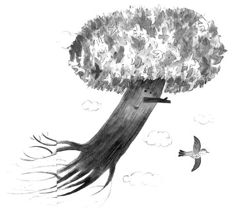 Пал Бекеш - Барсук с нашего двора