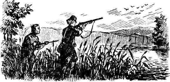 Александр Шмаков - Петербургский изгнанник. Книга вторая