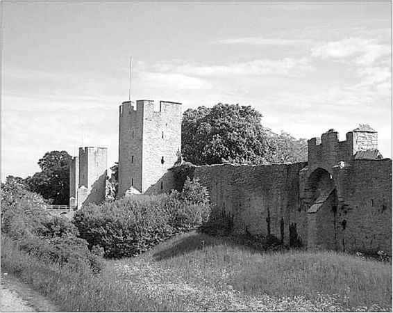 Петр Сорокин - Окрестности Петербурга. Из истории ижорской земли