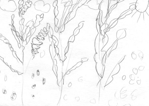 Николай Веракса, Александр Веракса - Проектная деятельность дошкольников....