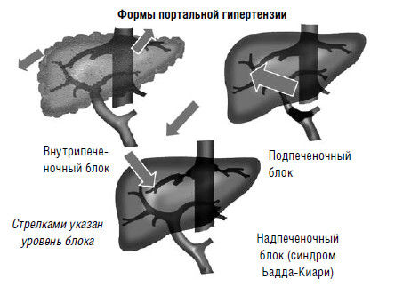 Коллектив авторов - Избранные лекции по факультетской хирургии: учебное пособие