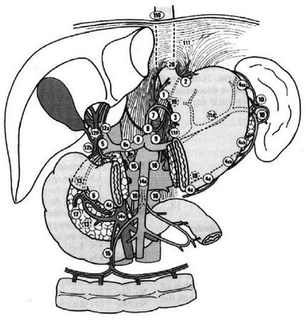 Коллектив авторов - Избранные лекции по факультетской хирургии: учебное пособие