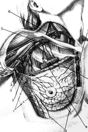 Коллектив авторов - Избранные лекции по факультетской хирургии: учебное пособие