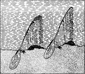 Андрей Лапо - Следы былых биосфер, или Рассказ о том, как устроена биосфера и...