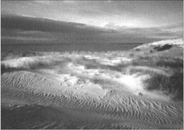 Геннадий Разумов - Атлантиды земли и морей