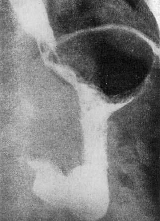 Коллектив авторов - Избранные лекции по факультетской хирургии: учебное пособие