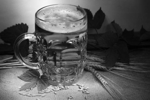 Ольга Зьомко, Дмитрий Сухаревский - Как заработать на фотографии в Интернете