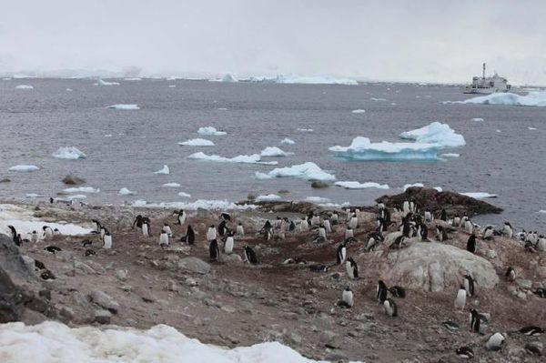 Владимир Ромашкин - Загадки исчезнувших цивилизаций. Часть I. Загадочная Антарктида