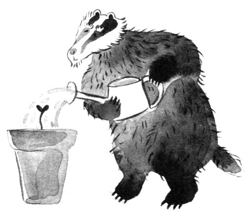 Пал Бекеш - Барсук с нашего двора