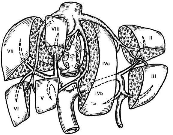 Коллектив авторов - Избранные лекции по факультетской хирургии: учебное пособие