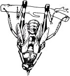 Жан-Анри Фабр - Жизнь насекомых. Рассказы энтомолога