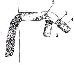 Жан-Анри Фабр - Жизнь насекомых. Рассказы энтомолога