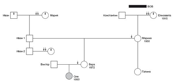 Валерий Докучаев, Лариса Докучаева и др. - Наследие предков. Обретение силы Рода