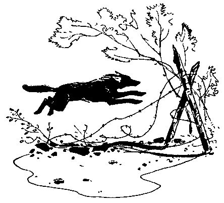 Анатолий Чехов - У самой границы