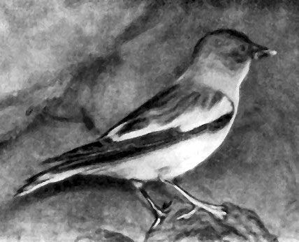 Роальд Потапов - Неведомый Памир