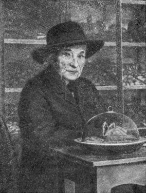 Жан-Анри Фабр - Жизнь насекомых. Рассказы энтомолога