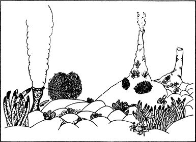 Андрей Лапо - Следы былых биосфер, или Рассказ о том, как устроена биосфера и...