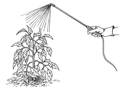 Елена Шкитина - Выращивание основных видов овощных культур. Технология богатых...