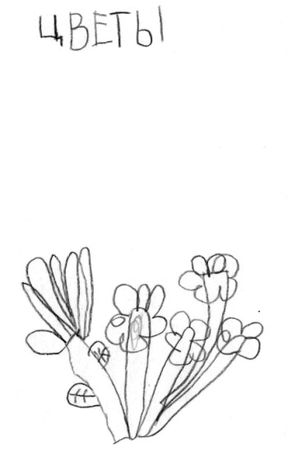 Николай Веракса, Александр Веракса - Проектная деятельность дошкольников....