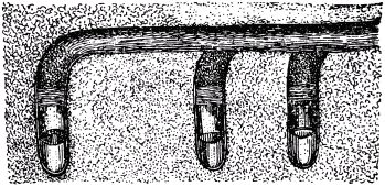 Жан-Анри Фабр - Жизнь насекомых. Рассказы энтомолога