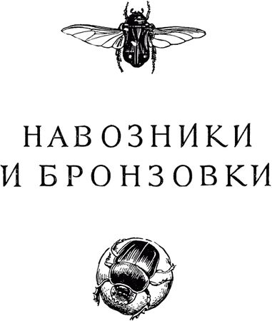 Жан-Анри Фабр - Жизнь насекомых. Рассказы энтомолога