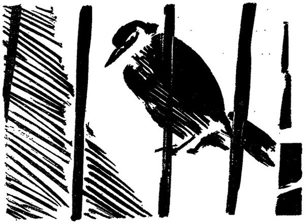 Иван Полуянов - Одолень-трава