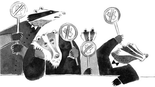 Пал Бекеш - Барсук с нашего двора