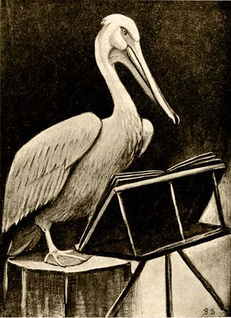 Владимир Дуров - Пернатые артисты