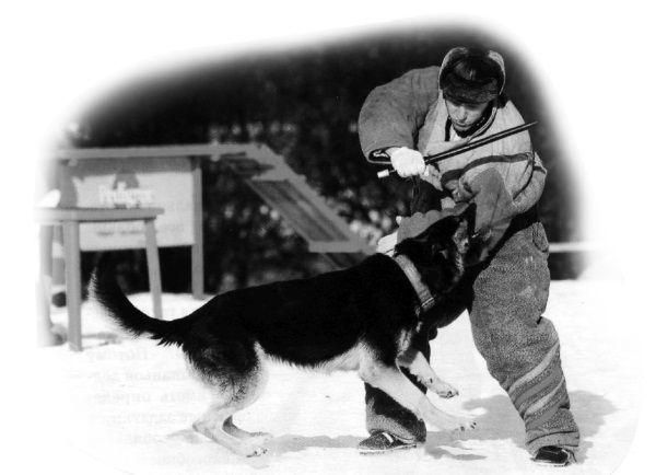 Николай Веракса, Александр Веракса - Проектная деятельность дошкольников....