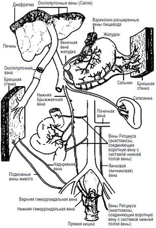 Коллектив авторов - Избранные лекции по факультетской хирургии: учебное пособие