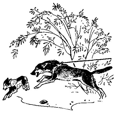 Анатолий Чехов - У самой границы